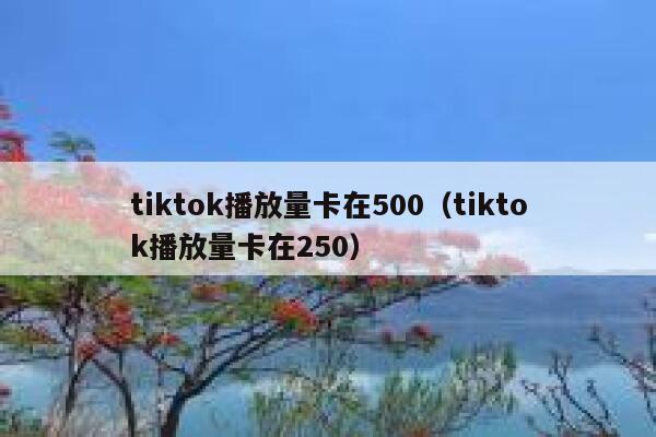 tiktok播放量卡在500（tiktok播放量卡在250） 第1张