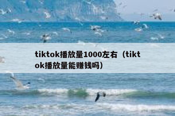 tiktok播放量1000左右（tiktok播放量能赚钱吗） 第1张