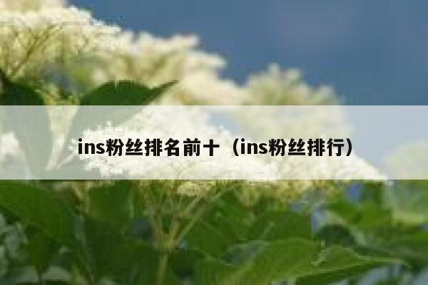 ins粉丝排名前十（ins粉丝排行） 第1张