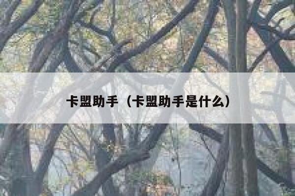 卡盟助手（卡盟助手是什么） 第1张