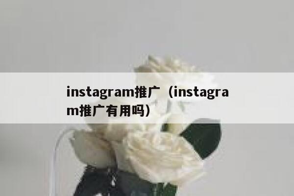 instagram推广（instagram推广有用吗） 第1张