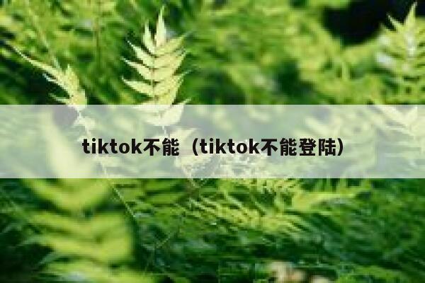 tiktok不能（tiktok不能登陆） 第1张