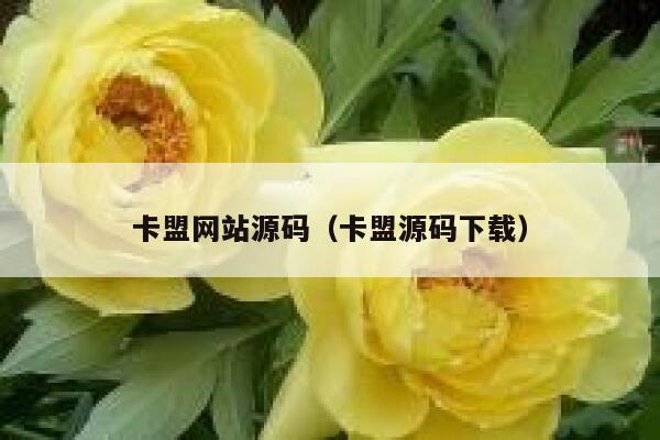 卡盟网站源码（卡盟源码下载） 第1张