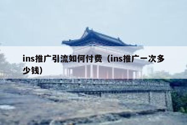 ins推广引流如何付费（ins推广一次多少钱） 第1张