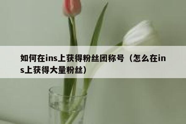 如何在ins上获得粉丝团称号（怎么在ins上获得大量粉丝） 第1张