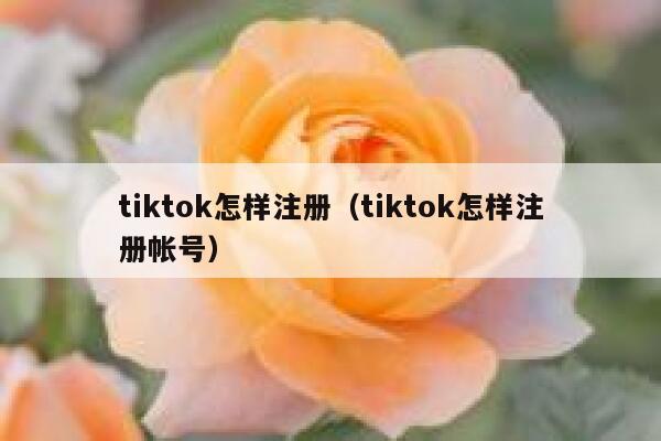 tiktok怎样注册(tiktok怎样注册帐号) 第1张 tiktok怎样注册(tiktok怎样注册帐号) 第1张