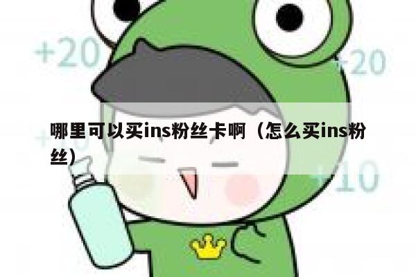 哪里可以买ins粉丝卡啊（怎么买ins粉丝） 第1张