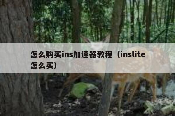 怎么购买ins加速器教程（inslite怎么买） 第1张