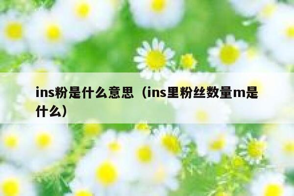ins粉是什么意思（ins里粉丝数量m是什么） 第1张