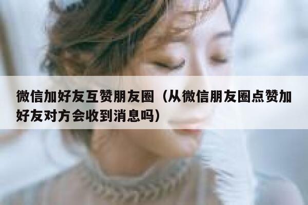 微信加好友互赞朋友圈(从微信朋友圈点赞加好友对方会收到消息吗) 第1张 微信加好友互赞朋友圈(从微信朋友圈点赞加好友对方会收到消息吗) 第1张