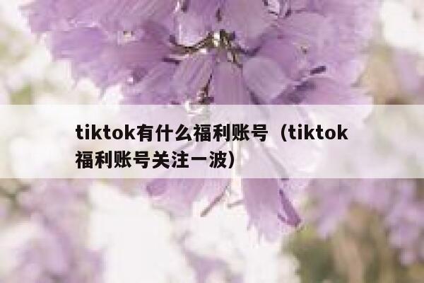 tiktok有什么福利账号（tiktok福利账号关注一波） 第1张