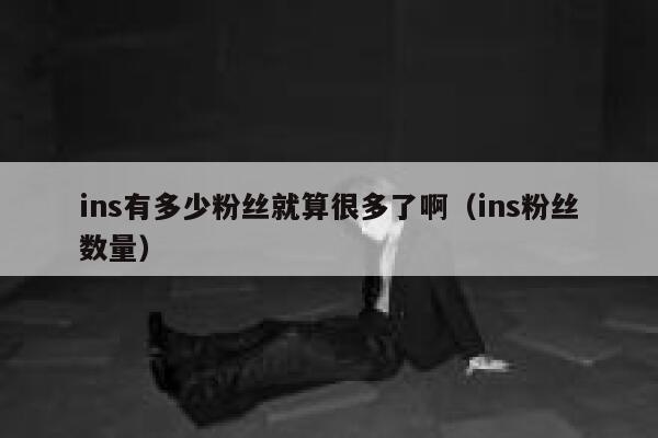 ins有多少粉丝就算很多了啊（ins粉丝数量） 第1张