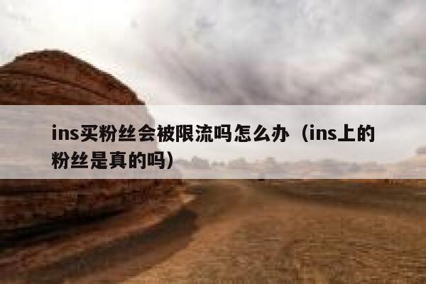 ins买粉丝会被限流吗怎么办（ins上的粉丝是真的吗） 第1张