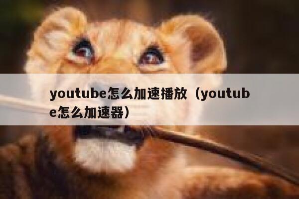 youtube怎么加速播放（youtube怎么加速器） 第1张
