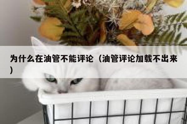 为什么在油管不能评论(油管评论加载不出来) 第1张 为什么在油管不能评论(油管评论加载不出来) 第1张