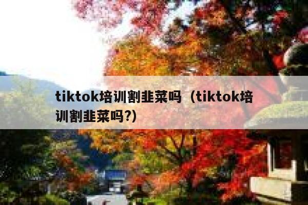 tiktok培训割韭菜吗（tiktok培训割韭菜吗?） 第1张