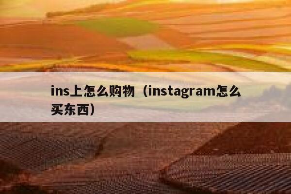 ins上怎么购物（instagram怎么买东西） 第1张