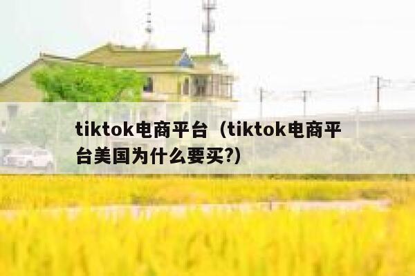 tiktok电商平台（tiktok电商平台美国为什么要买?） 第1张