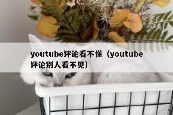 youtube评论看不懂（youtube评论别人看不见） 第1张