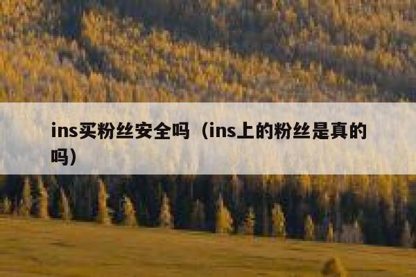 ins买粉丝安全吗（ins上的粉丝是真的吗） 第1张