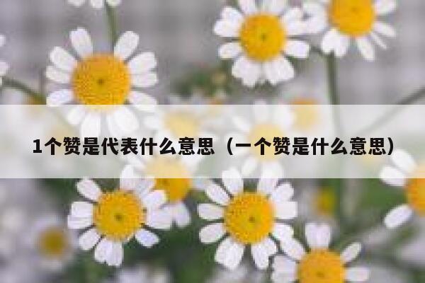 1个赞是代表什么意思（一个赞是什么意思） 第1张