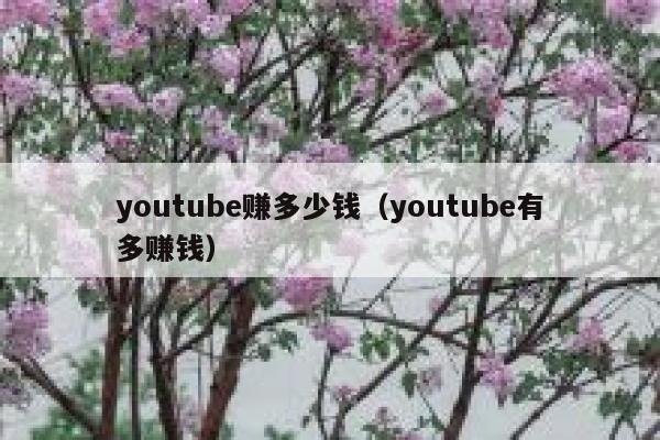 youtube赚多少钱（youtube有多赚钱） 第1张