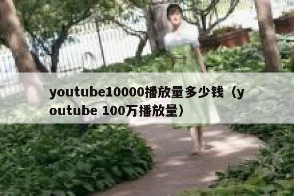 youtube10000播放量多少钱（youtube 100万播放量） 第1张