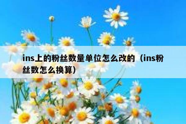 ins上的粉丝数量单位怎么改的（ins粉丝数怎么换算） 第1张