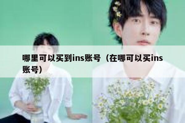 哪里可以买到ins账号（在哪可以买ins账号） 第1张
