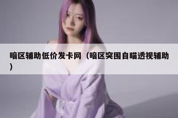 暗区辅助低价发卡网(暗区突围自瞄透视辅助) 第1张 暗区辅助低价发卡网(暗区突围自瞄透视辅助) 第1张