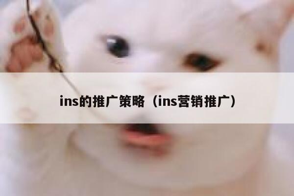 ins的推广策略（ins营销推广） 第1张