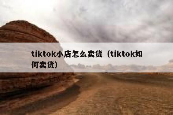 tiktok小店怎么卖货（tiktok如何卖货） 第1张