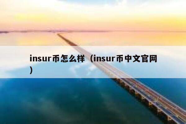insur币怎么样（insur币中文官网） 第1张