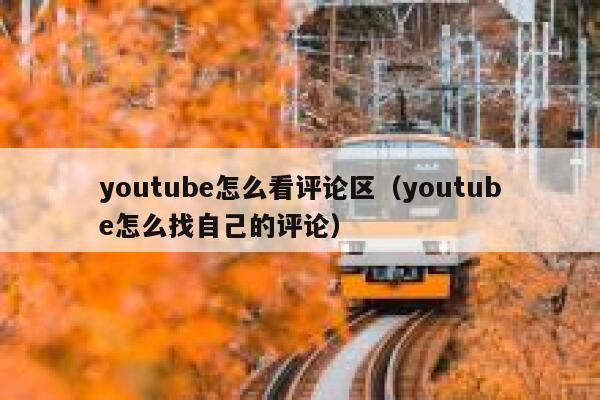 youtube怎么看评论区（youtube怎么找自己的评论） 第1张
