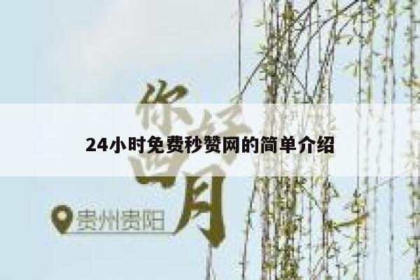 24小时免费秒赞网的简单介绍 第1张
