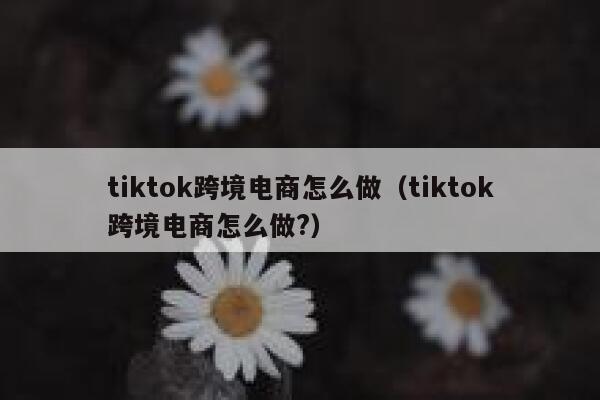 tiktok跨境电商怎么做（tiktok跨境电商怎么做?） 第1张