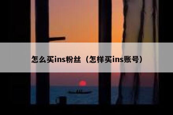 怎么买ins粉丝（怎样买ins账号） 第1张