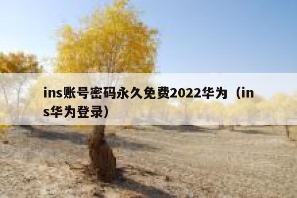 ins账号密码永久免费2022华为（ins华为登录） 第1张