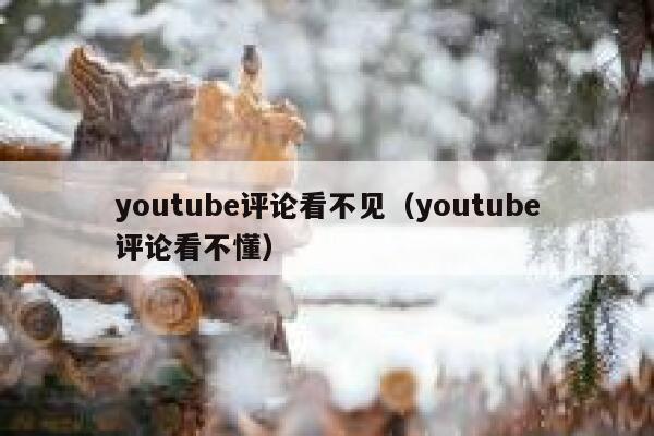 youtube评论看不见（youtube评论看不懂） 第1张