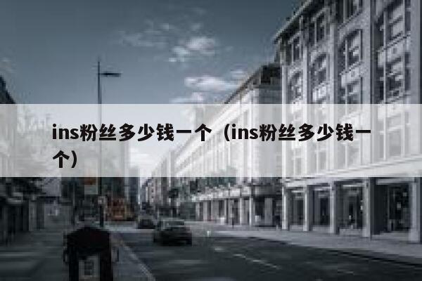 ins粉丝多少钱一个（ins粉丝多少钱一个） 第1张