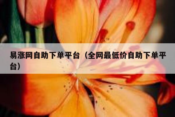 易涨网自助下单平台（全网最低价自助下单平台） 第1张