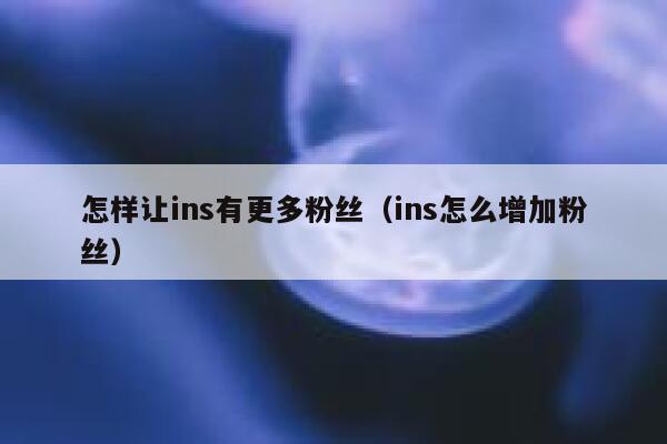 怎样让ins有更多粉丝（ins怎么增加粉丝） 第1张