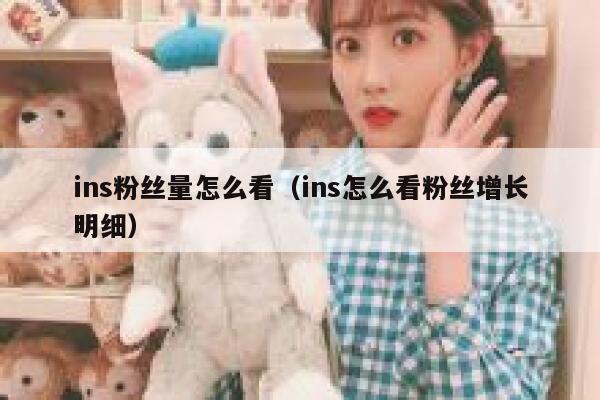 ins粉丝量怎么看（ins怎么看粉丝增长明细） 第1张