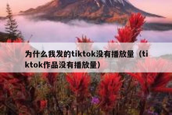 为什么我发的tiktok没有播放量（tiktok作品没有播放量） 第1张