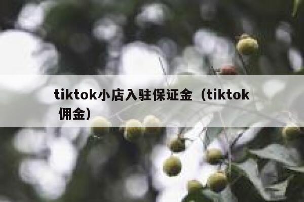 tiktok小店入驻保证金（tiktok 佣金） 第1张
