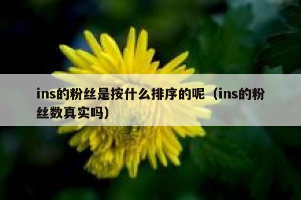 ins的粉丝是按什么排序的呢（ins的粉丝数真实吗） 第1张