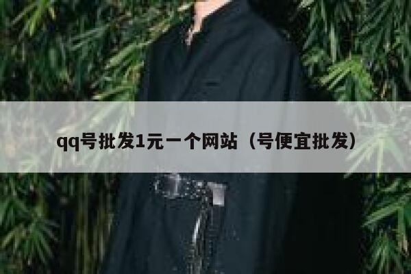 qq号批发1元一个网站（号便宜批发） 第1张