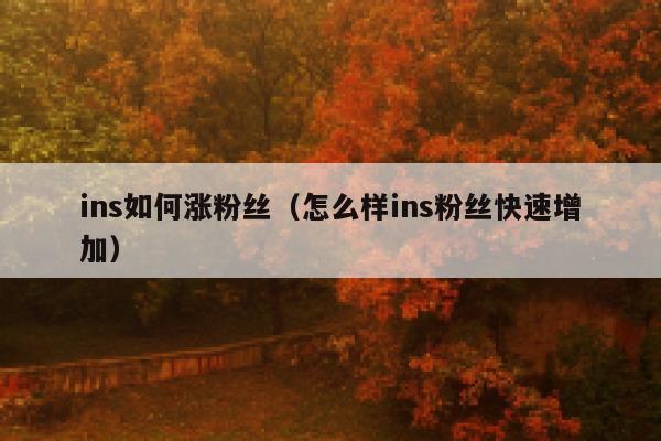 ins如何涨粉丝（怎么样ins粉丝快速增加） 第1张