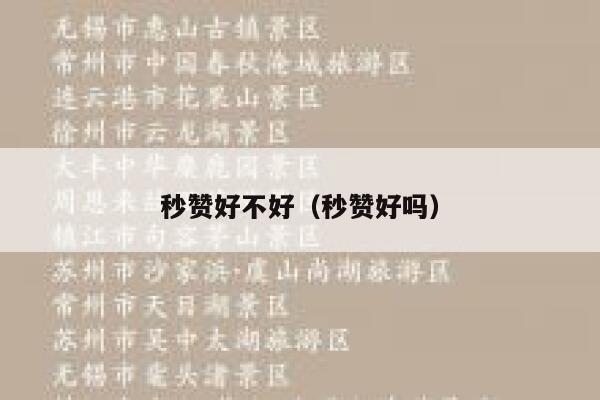 秒赞好不好（秒赞好吗） 第1张