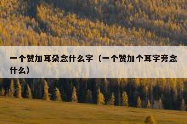 一个赞加耳朵念什么字（一个赞加个耳字旁念什么） 第1张